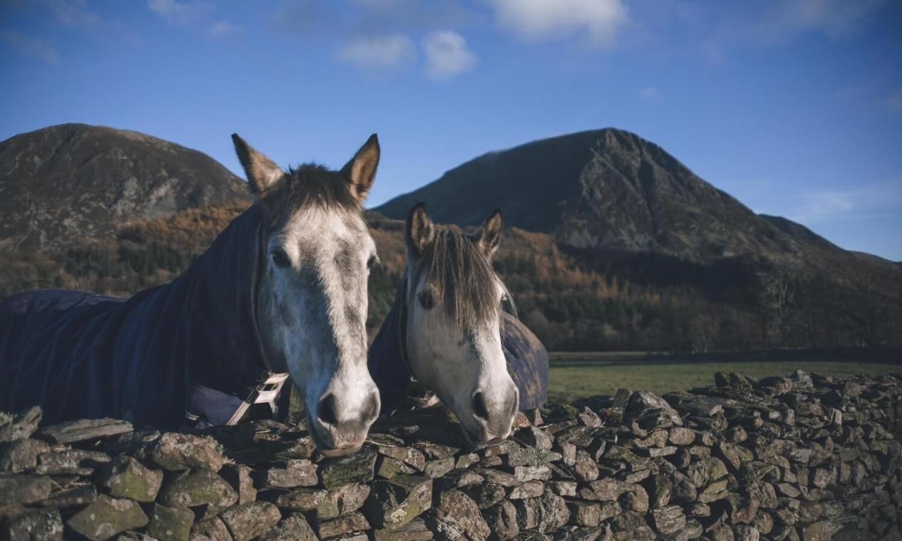 Вилла Cedar Nook Loweswater Экстерьер фото